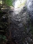 上溯馬頭坑至燈籠瀑, 約3份1隊友攀樹根上瀑頂, 3份2隊友回走少少接右邊山路上瀑頂
DSC08134