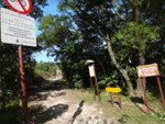 大隊接入彌勒山郊遊徑, 有部份亦是鳳凰徑路段
DSC08422