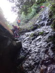 接鳳彌石澗位的一瀑壁位
DSC08508