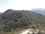 DSC00212