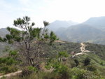 DSC00230