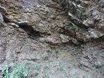 一樹岩因洞內有一樹而名, 不過家陣變了2棵樹苗.  而又稱羅漢洞可能因為在羅漢塔旁
DSC01228