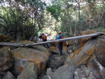 過一小木皮橋
DSC01360