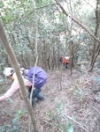 穿林落山
DSC01654