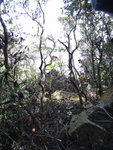 山路到一處見到一隊友剛由藍繩爬至石頂小休
DSC01672