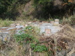 澗旁竟然有養蜂場
DSC01988