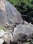 至一壁前
DSC02349