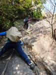 直, 不過有樹根扶, 有腳位, 都無問題
DSC02351