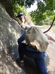 DSC02353