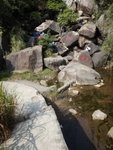真係有條路, 這裏可以離澗
DSC02368