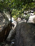DSC02376