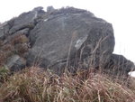 上鳯凰山要越此大石
DSC02620