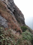 上凰峰途中右望見一樹岩(又叫羅漢洞)洞口
DSC02809