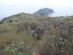 回望扒頭鼓南灣
DSC03241