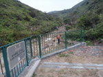 接排洪渠道, 上渠旁石屎路
DSC03255
