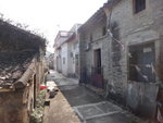 荔枝窩村中, 有廢屋亦有經粉飾的村屋
DSC03450