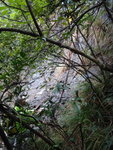 原來可以右邊林中上, 林中左望壁位, 小心呀
DSC03889
