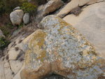 DSC01027