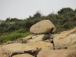 似唔似貝殼寶貝哩
DSC01052