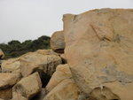 DSC01053