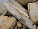 冬菇石旁的石船(獨木舟)
DSC01096