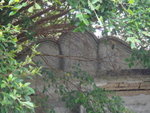 DSC01160
