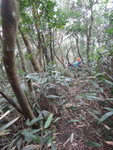下降黃金壁脊路, 中途轉左入林
DSC04633