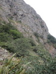 馬頭南崖與崖下的樹帶棧道
DSC05135