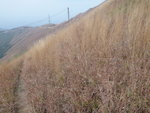 沿山腰路前行
DSC05428