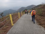 沿軍路落山
DSC05436