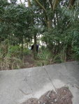跟路標
DSC05450