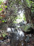 上溯塘面坑
DSC05700
