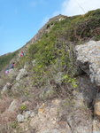 DSC07364