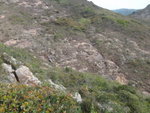 DSC07369