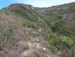 山脊及脊右的分流東坑
DSC07371