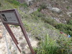 DSC07380