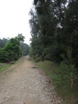 DSC07873