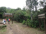 DSC07884