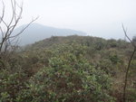 DSC07897