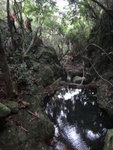 臨一水池, 見隊友左邊落
DSC08476