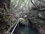 DSC08478