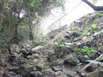 澗旁有石級重有水喉, 有水流添, 相信都係污水lu
DSC08487