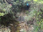 跨引水道繼續入澗
DSC08560