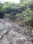 DSC08571