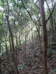 上溯風門石澗
DSC08573