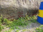 DSC00240