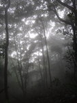 DSC09011