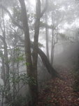 DSC09012