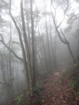 DSC09013