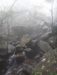 DSC09016